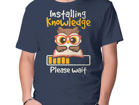 Installing Knowledge