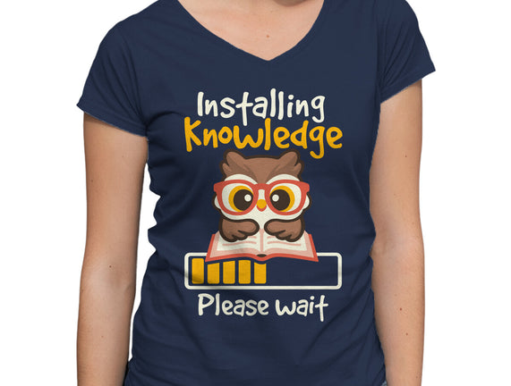 Installing Knowledge