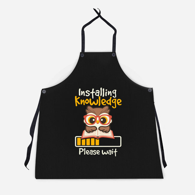 Installing Knowledge-Unisex-Kitchen-Apron-NemiMakeit