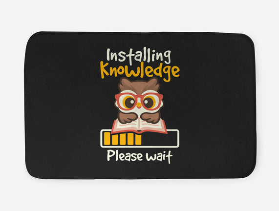 Installing Knowledge