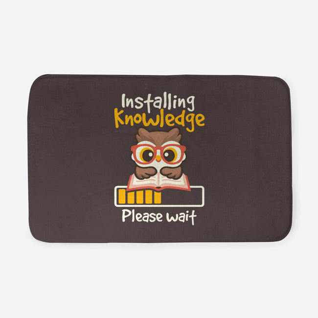 Installing Knowledge-None-Memory Foam-Bath Mat-NemiMakeit