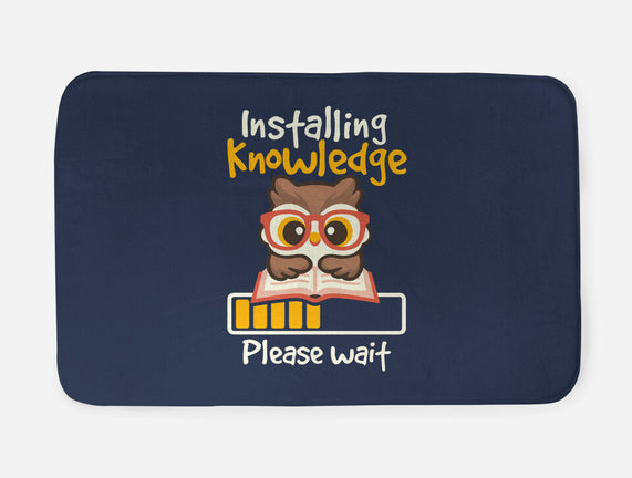 Installing Knowledge