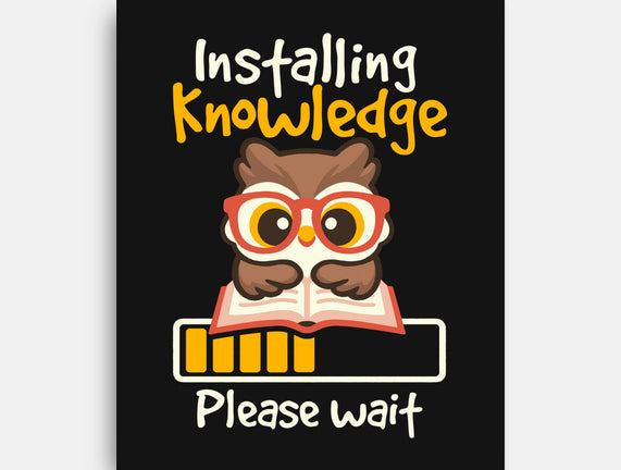 Installing Knowledge