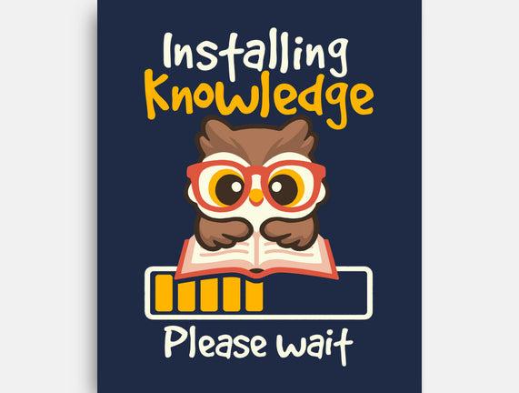 Installing Knowledge