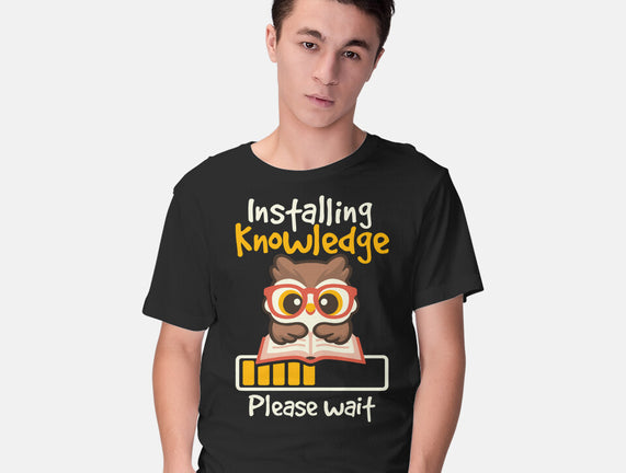 Installing Knowledge