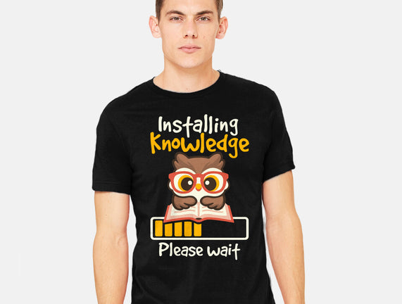 Installing Knowledge