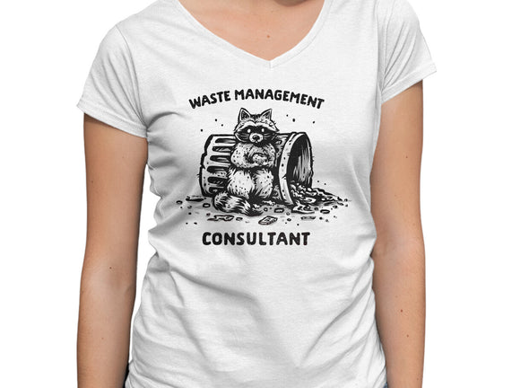 Waste Management Consultant