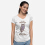 Too Much Hootin-Womens-V-Neck-Tee-kg07