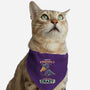 Sometimes Crazy-Cat-Adjustable-Pet Collar-Geekydog