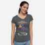 Sometimes Crazy-Womens-V-Neck-Tee-Geekydog