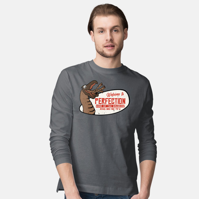 Welcome To The Perfection-Mens-Long Sleeved-Tee-Melonseta