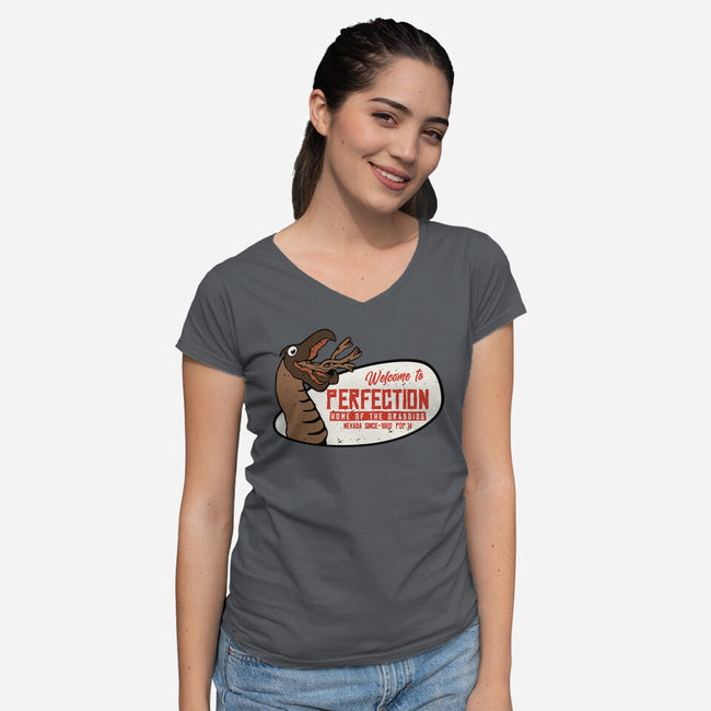 Welcome To The Perfection-Womens-V-Neck-Tee-Melonseta