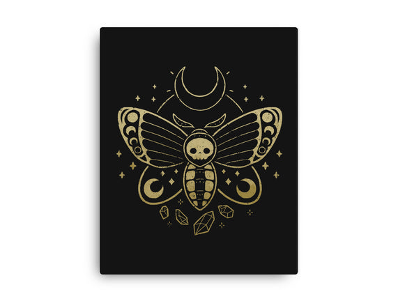 Deaths Head Moth