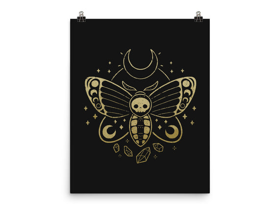 Deaths Head Moth