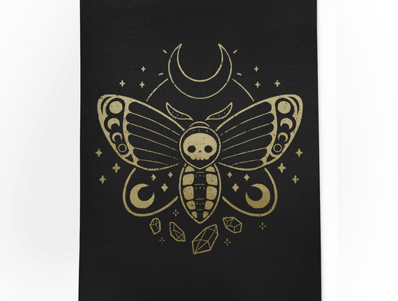 Deaths Head Moth