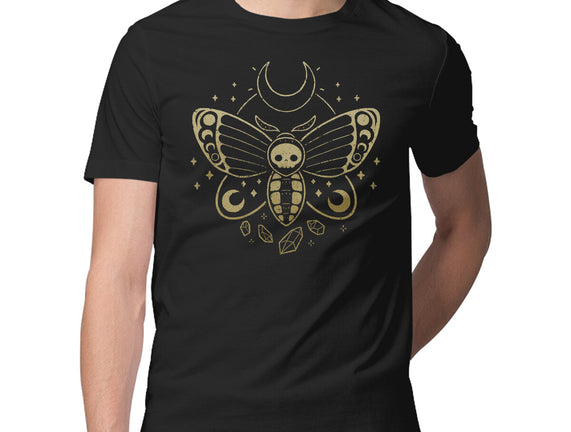 Deaths Head Moth