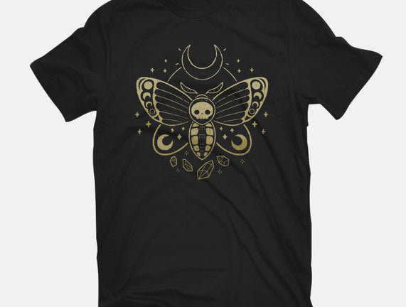 Deaths Head Moth