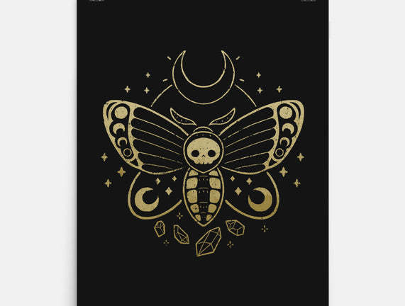 Deaths Head Moth