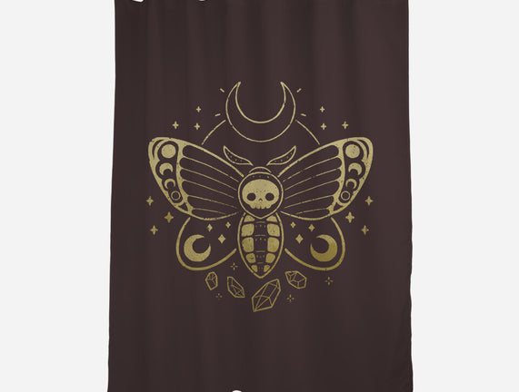 Deaths Head Moth