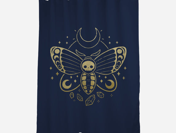 Deaths Head Moth