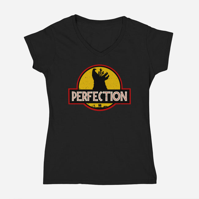 Perfection Park-Womens-V-Neck-Tee-Melonseta