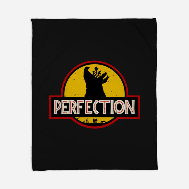 Perfection Park-None-Fleece-Blanket-Melonseta