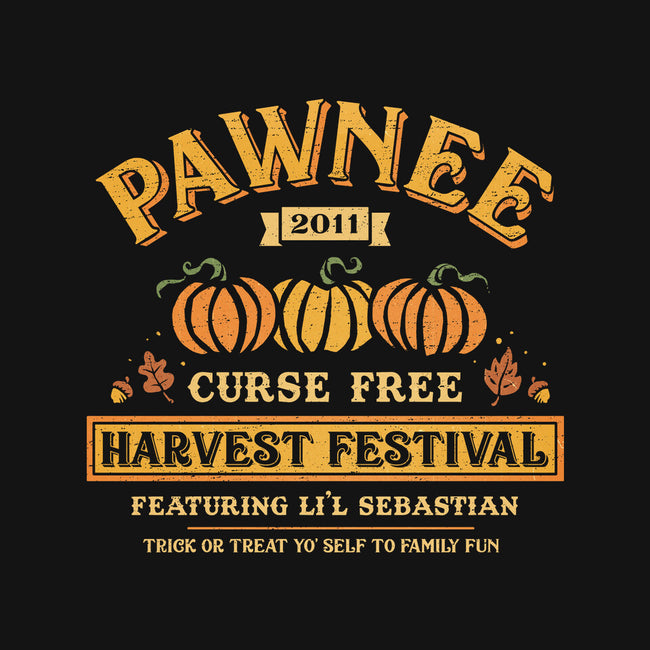 Pawnee Vintage Harvest Festival-Womens-V-Neck-Tee-kg07