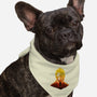 The Monkey King-Dog-Bandana-Pet Collar-hypertwenty