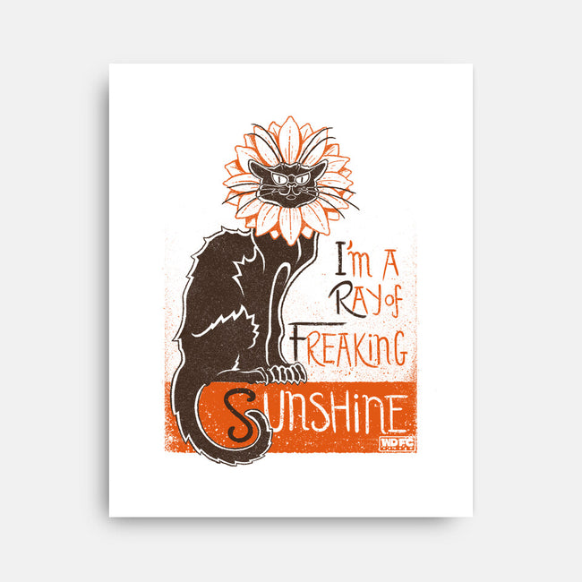 Ray Of Freaking Sunshine Cats-None-Stretched-Canvas-worlddominationforcats