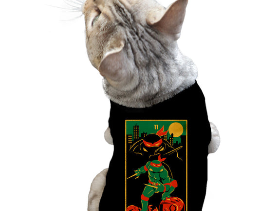 Raph Tarot Card