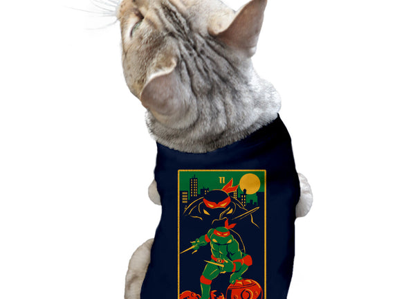 Raph Tarot Card