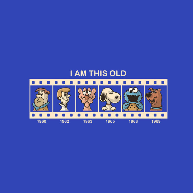 I Am This Old-Youth-Pullover-Sweatshirt-erion_designs