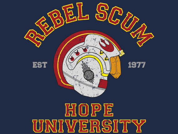 Rebel University