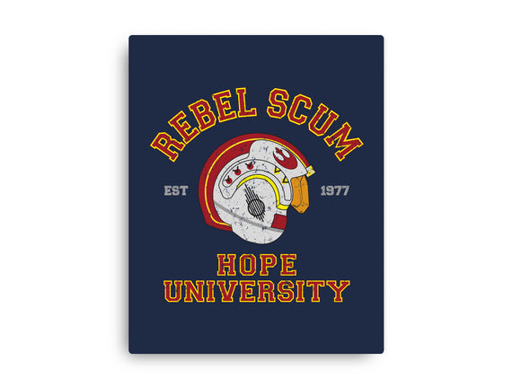 Rebel University