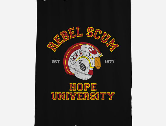 Rebel University