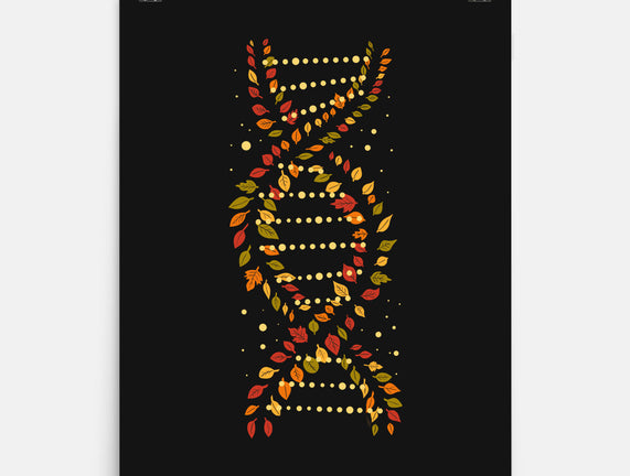 Autumn DNA