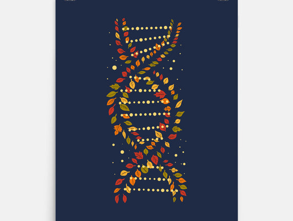 Autumn DNA