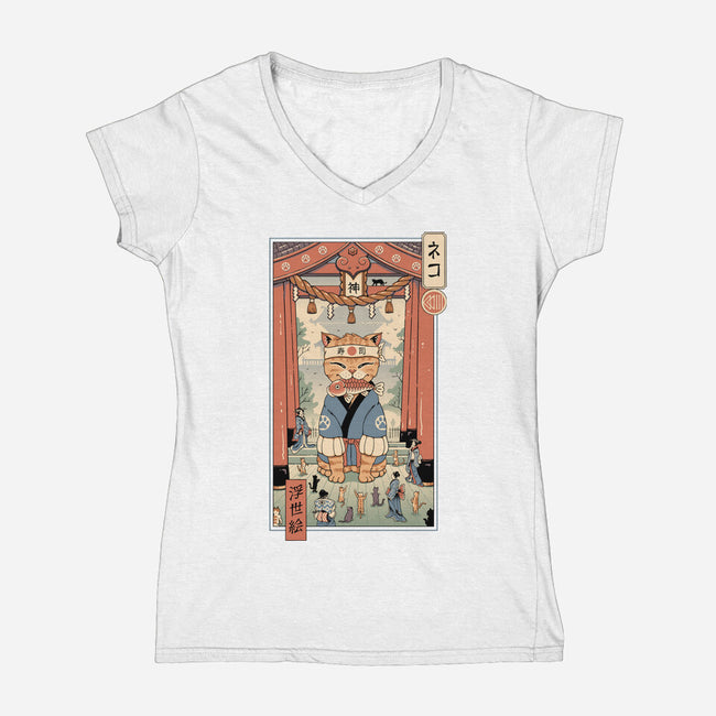 Kami Meowster Cat-Womens-V-Neck-Tee-vp021