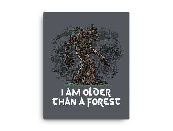 Older Than A Forest