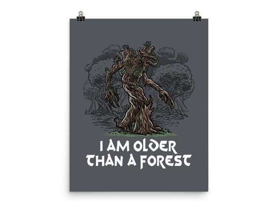 Older Than A Forest