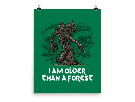 Older Than A Forest