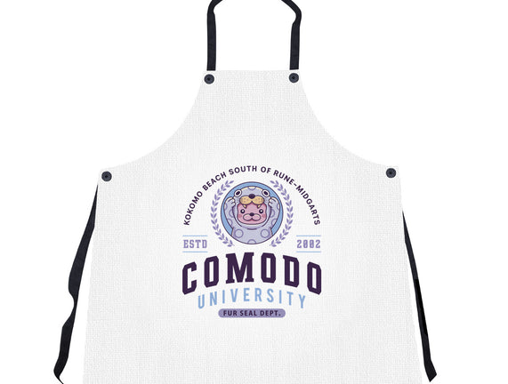 Comodo University