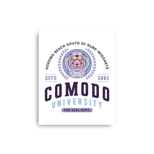 Comodo University