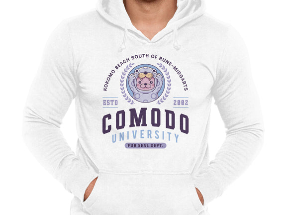 Comodo University