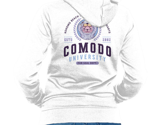 Comodo University