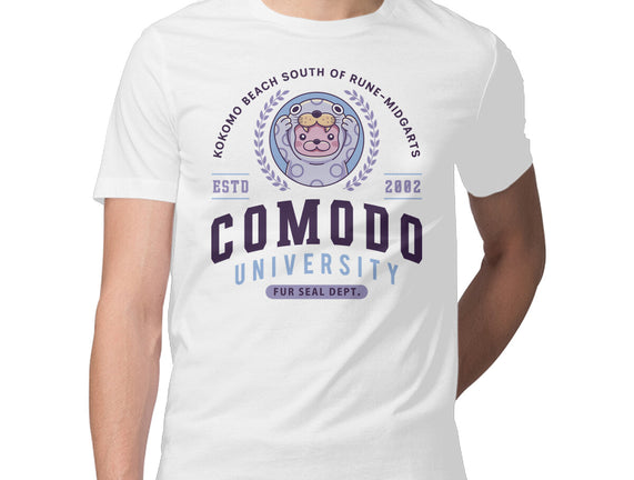 Comodo University