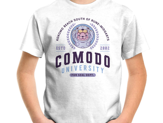 Comodo University