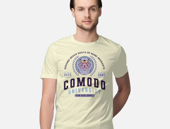 Comodo University