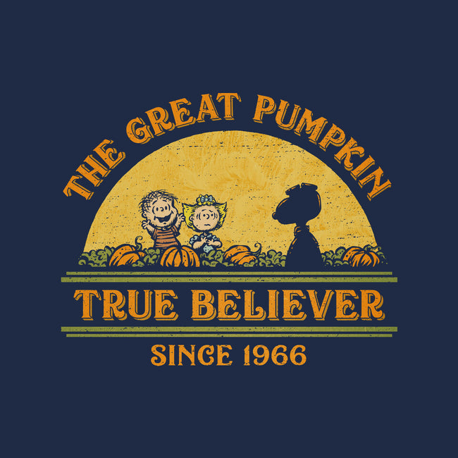 True Believer Since 1966-Youth-Pullover-Sweatshirt-kg07