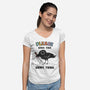 Have This Shiny Thing-Womens-V-Neck-Tee-kg07